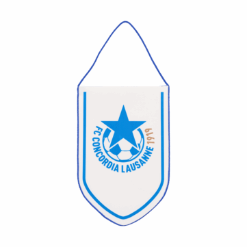 Hercules Merchandise printed pennant