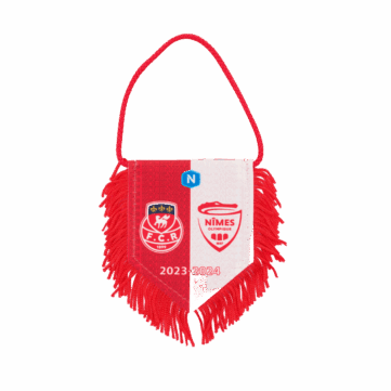 Hercules Merchandise printed pennant