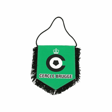 Hercules Merchandise printed pennant