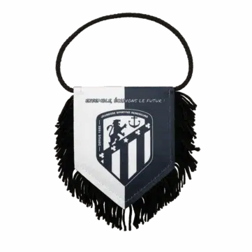 Hercules Merchandise printed pennant