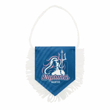 Hercules Merchandise printed pennant