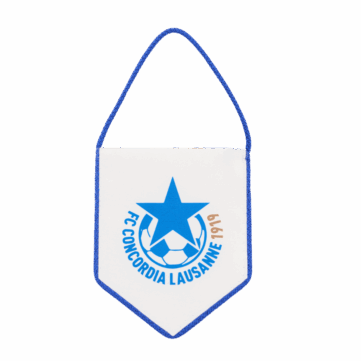 Hercules Merchandise printed pennant