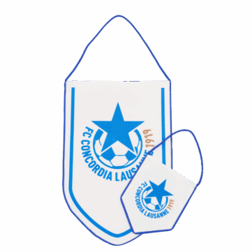 Hercules Merchandise printed pennant