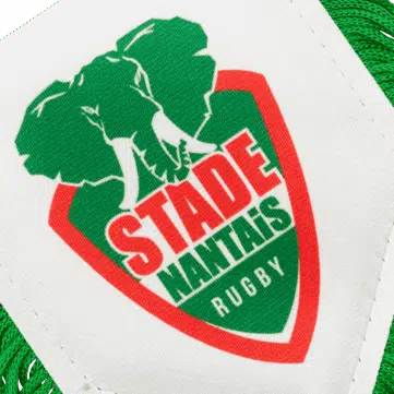 Hercules Merchandise printed pennant