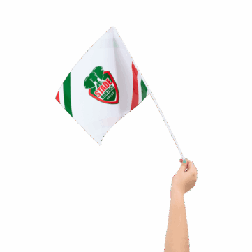 Hercules_Merchandise_paper_hand_flags